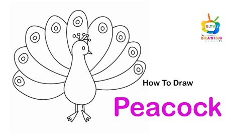 Easy Drawing Of Peacock