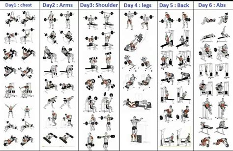 6 Day Gym Workout Schedule for Men PDF