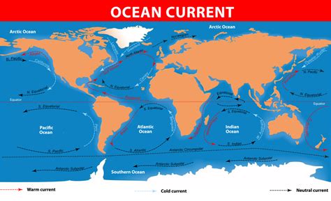 What Are Deep Ocean Currents Caused By