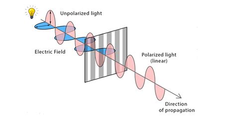 Polarization Of Light Definition, Types, Methods, Applications ...