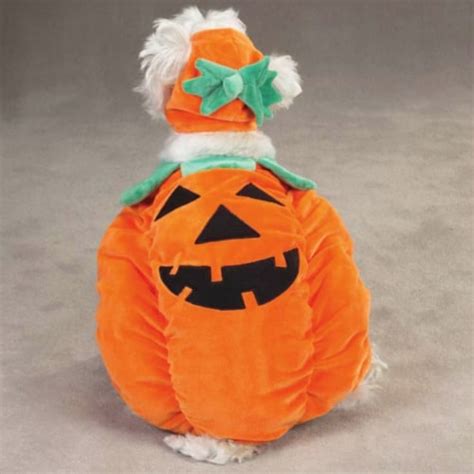 Zack & Zoey Pumpkin Pooch Dog Costume, Small, Orange, 1 - Fry’s Food Stores