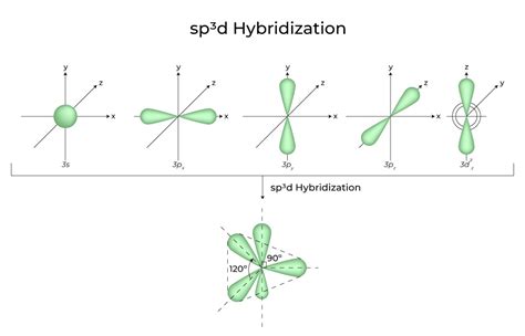 Hybridization - Definition, Types, Rules, Examples - GeeksforGeeks