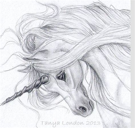 Dessin licorne | Unicorn drawing, Unicorn pictures, Unicorn sketch