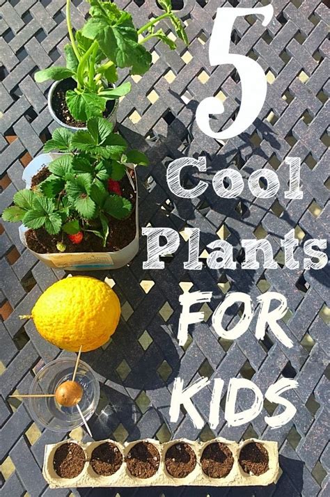 Hands On Gardening Activities for Kids They Will Love