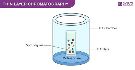 ⭐ Who discovered paper chromatography. Who is the father of paper ...