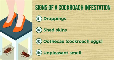 The Ultimate Guide to Cockroach Prevention in Singapore