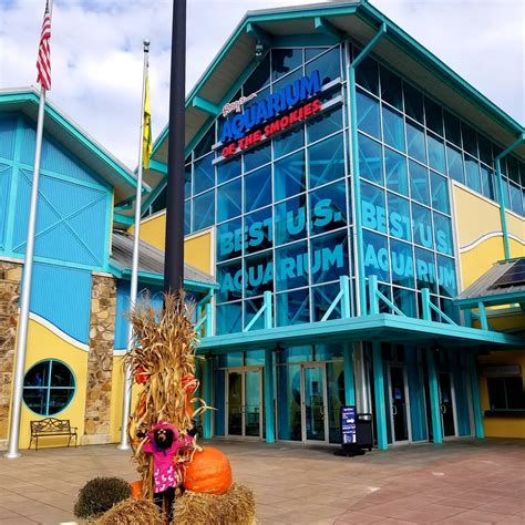 Ripley’s Aquarium of the Smokies - Gatlinburg, TN | Attraction Review