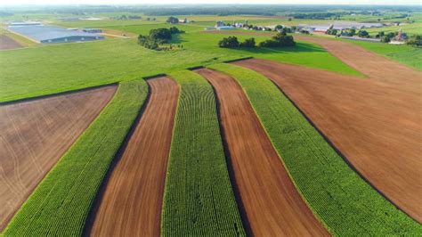 Corn Field Aerial Stock Photos, Pictures & Royalty-Free Images - iStock