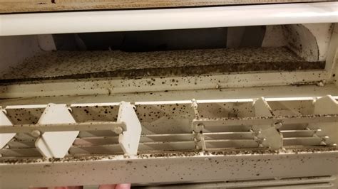 Mold in AC unit. Owner claims it's dirt. : HomeMaintenance