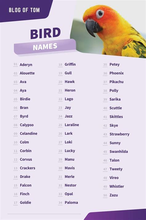 Bird Names For Girls & Boys (123 Best, Funny & Cute Ideas) in 2023 ...