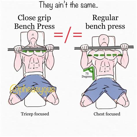 How to bench press | correctnes chest exercises