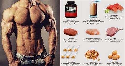 High Protein Muscle Building Foods You Must Start Eating - Bodydulding