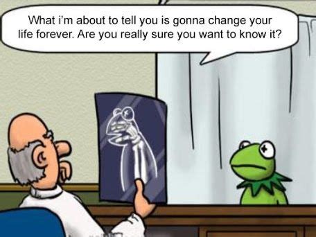 Kermit The Frog Quotes Funny