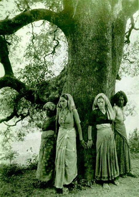 The Bohemian Budgie: Hindu Tree Huggers: The Chipko Movement