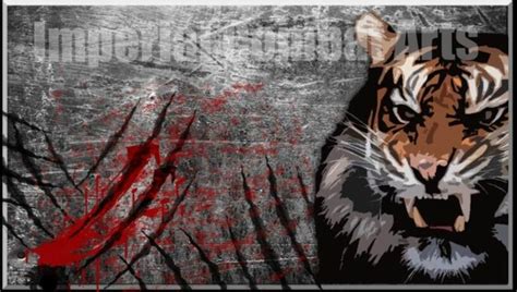 Tiger Style Kung Fu - Imperial Combat Arts