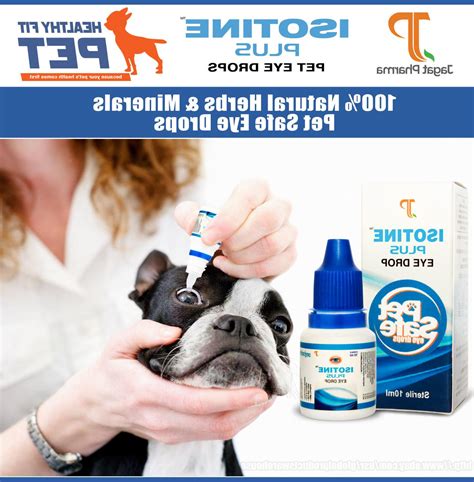 Best DOG/CAT Eye Drops Cataract, Glaucoma, Non-Carnosine