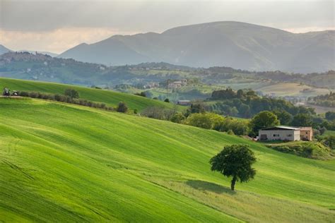 Premium Photo | Rural landscape with farm fields and trees