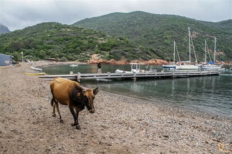 35 stunning Corsica landscapes (with pictures!)