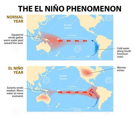 What Is An Effect Of La Niã±A Brainly / Learning from El Niño as La ...