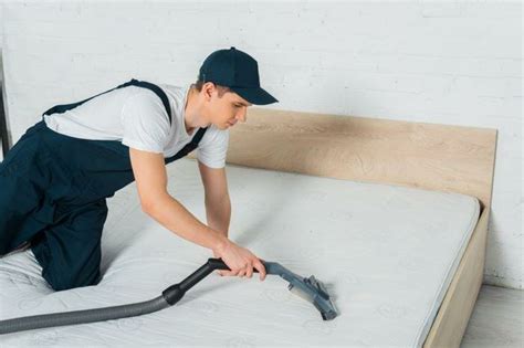 Benefits Of Professional Bed Bug Removal Services - Comunelazio