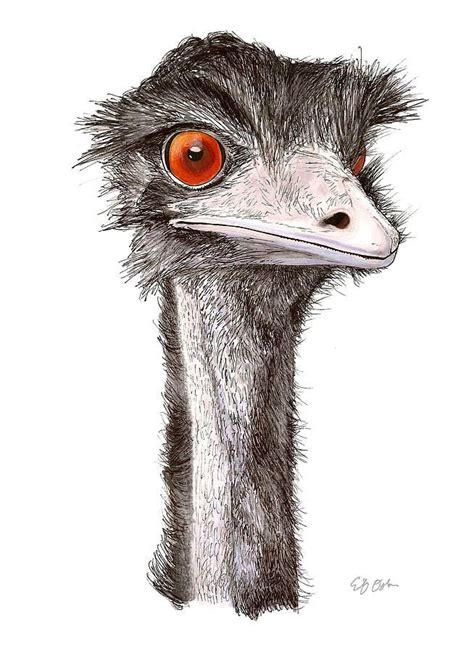 an ostrich's head with red eyes and long hair is shown in this drawing