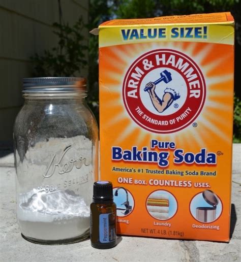 Baking Soda Carpet Dust Mites | Review Home Co