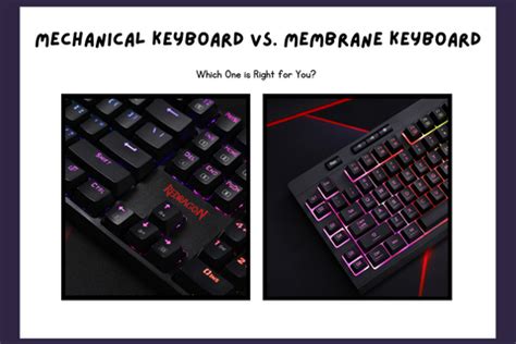 Mechanical Keyboard vs. Membrane Keyboard: Which One is Right for You ...