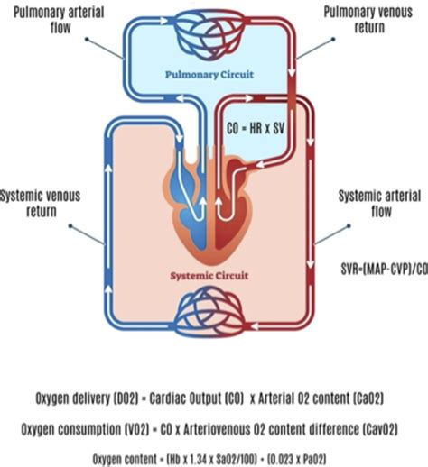 Cardiac output monitoring in children: a review | Archives of Disease ...