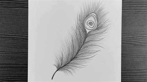 Easy Drawings, Pencil Drawings, Peacock Feather Drawing, Hand Art ...