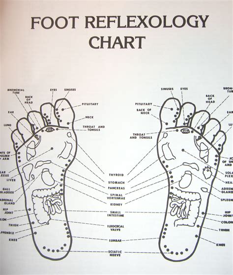 Printable Female Acupuncture Points Chart