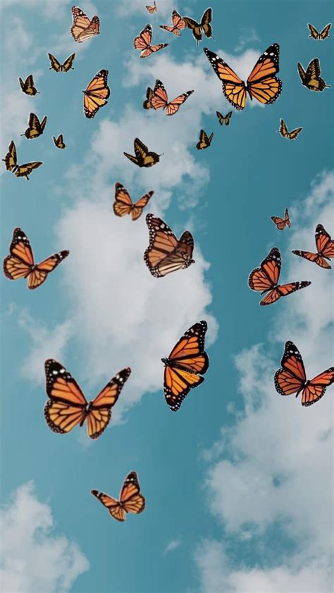 Cute Aesthetic Butterflies Wallpapers - Wallpaper Cave