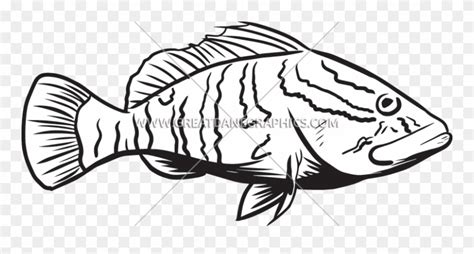 grouper clipart 10 free Cliparts | Download images on Clipground 2024