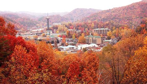 Fairfield Inn & Suites Gatlinburg North Reviewed - Travel To Gatlinburg ...