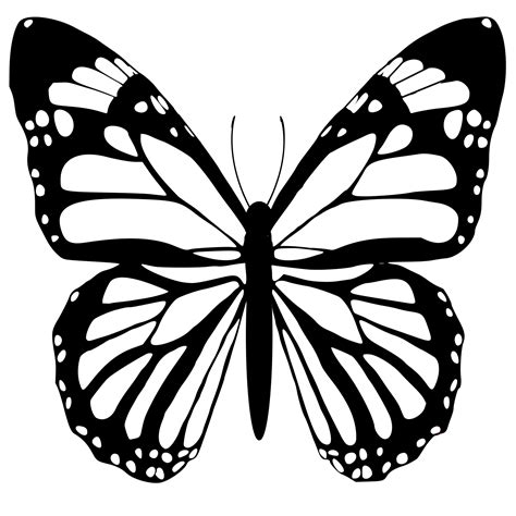 butterfly black and white 24134738 PNG