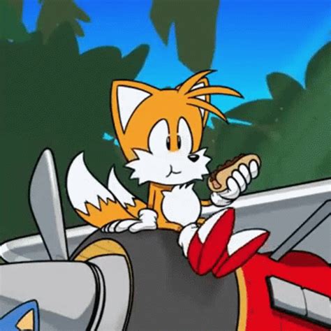 Tails GIF - Tails - Discover & Share GIFs Sonic Funny, Sonic 3, Fox ...