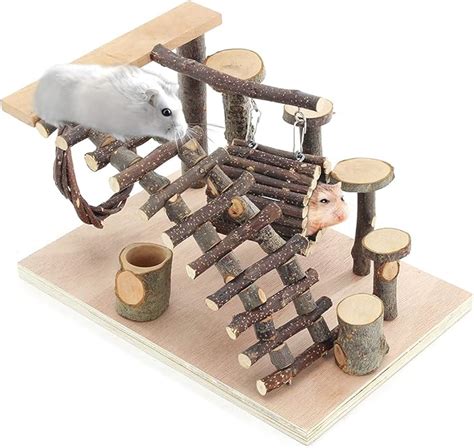 Amazon.com : Linifar Hamster Playground Wooden, Small Animal Activity ...