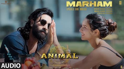 Vishal Mishra - Animal: Marham (Pehle Bhi Main) Lyrics Meaning - LyricsWIZ