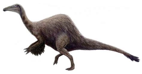 10 Facts About Deinocheirus | Paleontology World