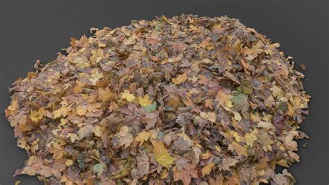 Leaf pile - Buy Royalty Free 3D model by matousekfoto [818c77c ...