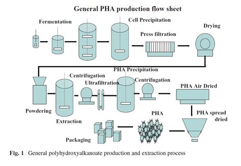 PHA (polyhydroxyalkanoate) bioplastics manufacturing - MIT Technology ...