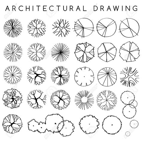 Set Of Architectural Hand Drawn Trees : Vector Illustration Royalty ...