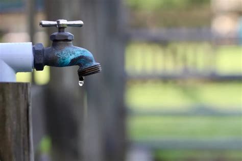 6 Types Of Outdoor Faucets Compared (Pros & Cons)