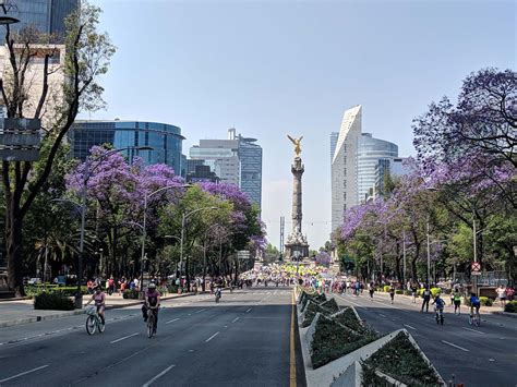 Paseo de la Reforma Connects the Culture and Economy of Mexico City ...