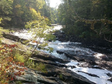 Heart and Sole: Ottawa National Forest - Trail among trees