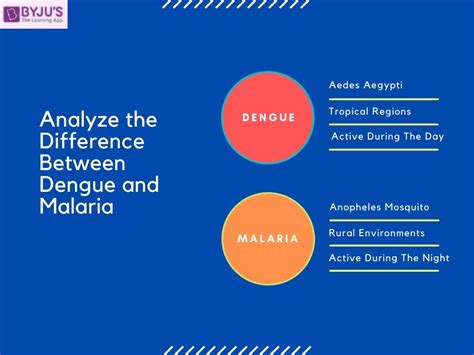 Differences Between Dengue and Malaria Disease With Their Detailed ...