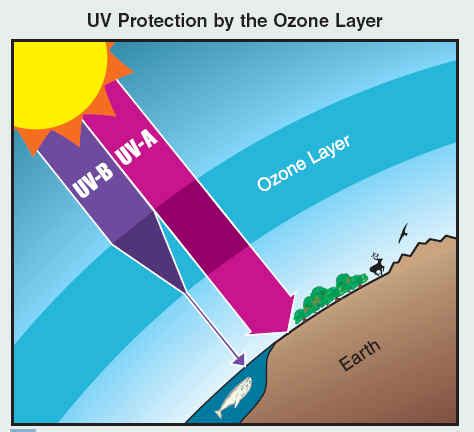 How does the atmosphere protect us from ultraviolet rays? | Socratic