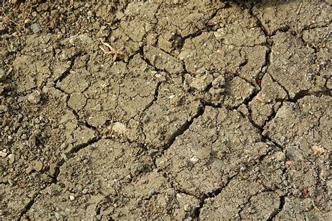 Free photo: cracked earth, drought, dry soil, the dry ground, cracks in ...