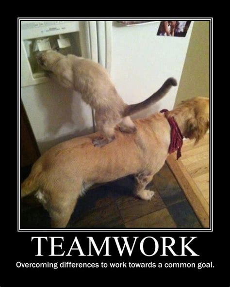 Teamwork Funny Motivational Memes For Work - We share the funniest ...