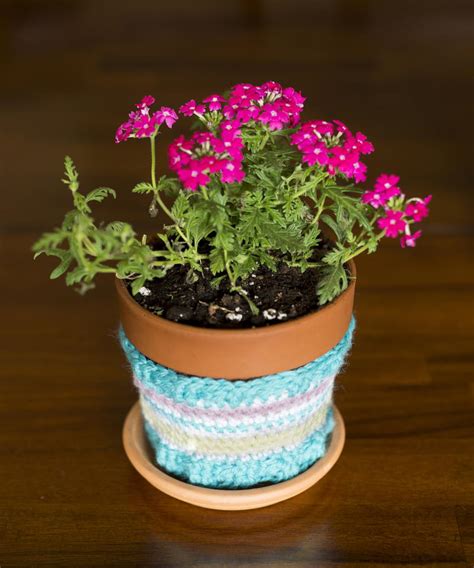 Striped Flower Pot Cozy Crochet Pattern | AllFreeCrochet.com