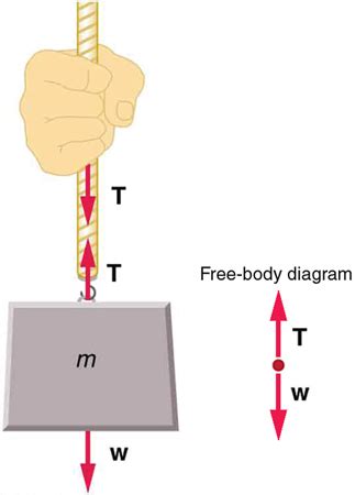 Normal, Tension, and Other Examples of Forces | Physics